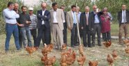 Genç Çiftçi Destekleri İle Hayaller Gerçek Oluyor