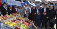 Göksun’da 4. Elma Festivali Yapıldı