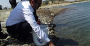 GÖLETLERİMİZDE BALIKLANDIRMA ÇALIŞMALARINADEVAM EDİLİYOR.