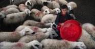 İnsan Konulu Fotoğraf Sergisi Fotoğraf Severlerle Buluşuyor