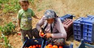 Kahramanmaraş’ta Biyoteknik Mücadele Yöntemleri Yayğınlaşıyor