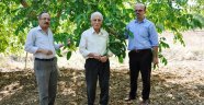 Kahramanmaraş’ta Ceviz Hasat Dönemi Başladı