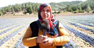Kahramanmaraş’ta Genç Çiftçi Projesi İle Hayaller Gerçek Oluyor