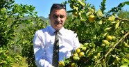 Kahramanmaraş’ta Mandalina Yetişir Mi Diye Sormayın!
