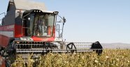Kahramanmaraş’ta Soya Ekimi Hergeçen Gün Artıyor