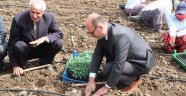 Kırmızıbiberde kalite artacak