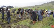 KSÜ Karacasu Yerleşkesinde Çanakkale Şehitleri Anısına 500 Fidan Dikildi