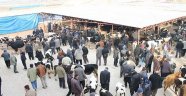 Kurban Satış Ve Kesim Yerleri Belirlendi