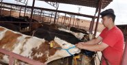 Kurbanlık Etlerinde Dikkat Edilecek Hususlar