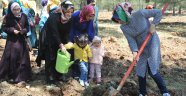 Kutlu Doğuma Özel Fidan Dikimi