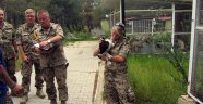 Nato Birliği’nden Sokak Hayvanları Rehabilitasyon Merkezine Ziyaret