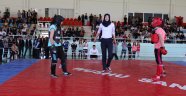 Okullar Arası wushu Şampiyonası Yapıldı….