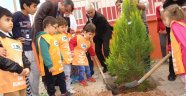 Onikişubat’ta Okullar Ağaçlandırılıyor