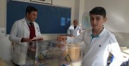 Özel final Temel Lisesi Başkanını Seçti.