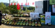 Şahinkayası “Ayvası” Festivalde Görücüye Çıktı