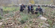 ŞEHİTLİK YOK OLUYOR