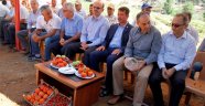 Sırık Domates Yetiştiriciliği Tarla Günü