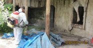 Zararlılarla Mücadele Devam Ediyor