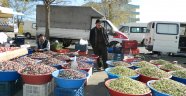 Zeytinler Satıcıların Yüzünü Güldürüyor.