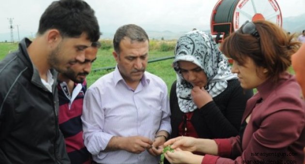 Tarımı tarlada öğreniyorlar