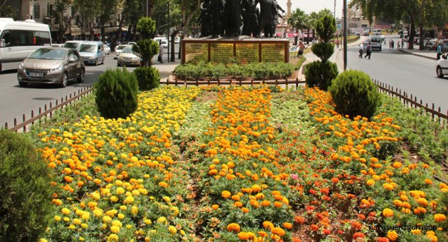 YEŞİL ALAN VE MEYDANLARDA ÇİÇEKLENDİRME ÇALIŞMASI