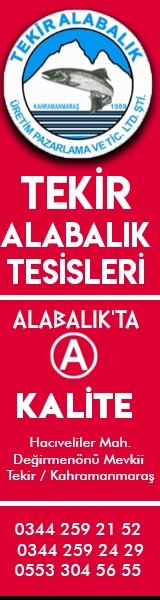Reklam